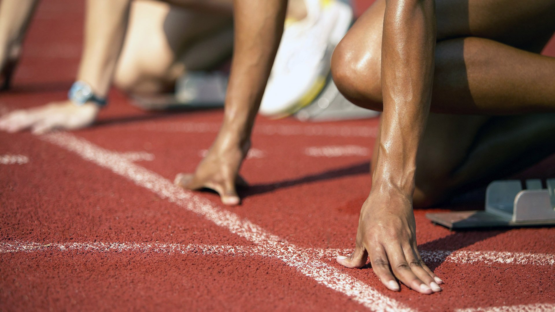 开云综合服务-女子游泳队划频节奏控制出色，女子游泳运动